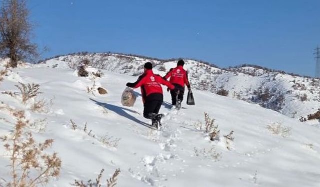 Bingöl’de Yaban Hayvanları İçin Harekete Geçtiler