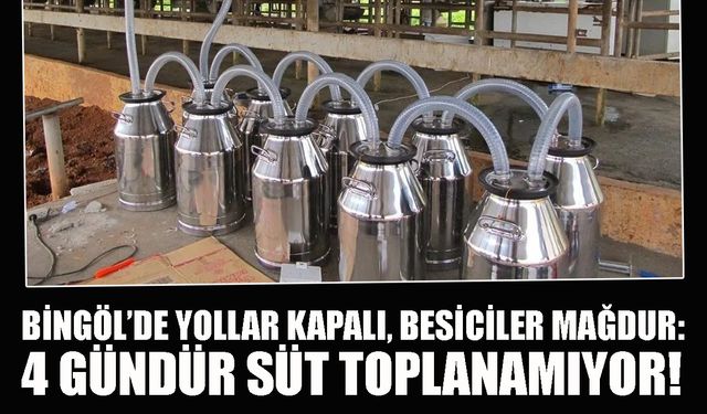 Bingöl’de Yollar Kapalı, Besiciler Mağdur: 4 Gündür Süt Toplanamıyor!