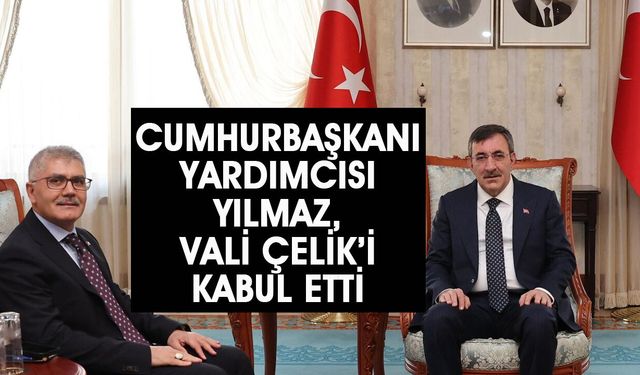 Cumhurbaşkanı Yardımcısı Yılmaz, Bingöl Valisi Olarak Atanan Çelik'i Kabul Etti