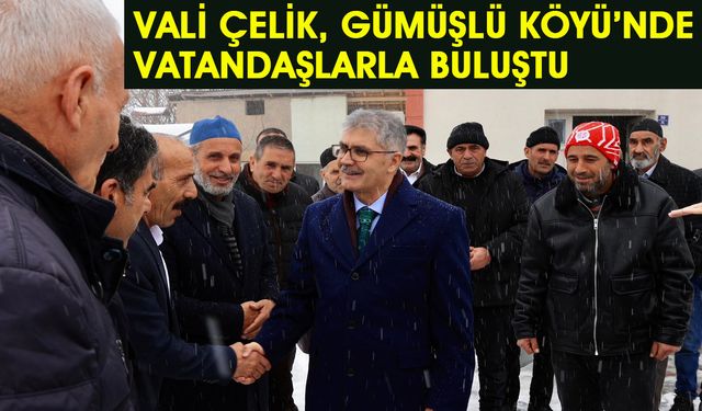 Vali Çelik: Köylerimizi Ziyaret Etmeye Devam Edeceğiz