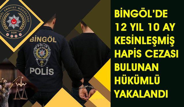 12 Yıl Hapis Cezası Bulunan Hükümlü, Bingöl’de Yakalandı