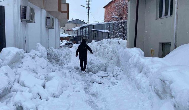 Karlıova’da Kar 40 Gündür Etkisini Sürdürüyor