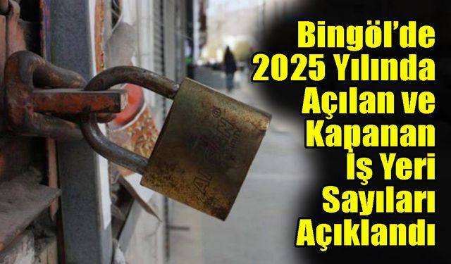 Bingöl’de 2025 Yılınca Açılan ve Kapanan İş Yeri Sayıları Açıklandı