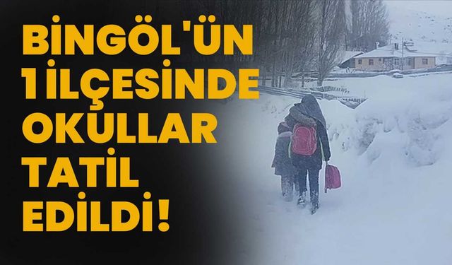 Bingöl'ün 1 İlçesinde Okullar Tatil Edildi!