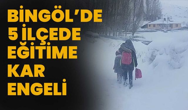 Bingöl’de 5 İlçede Eğitime Kar Engeli!