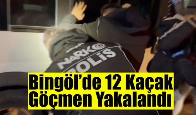 Bingöl’de 12 Kaçak Göçmen Yakalandı