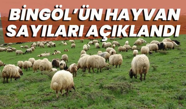 Bingöl’ün Hayvan Sayıları Açıklandı: Yük Hayvanları Bitme Aşamasına Geldi