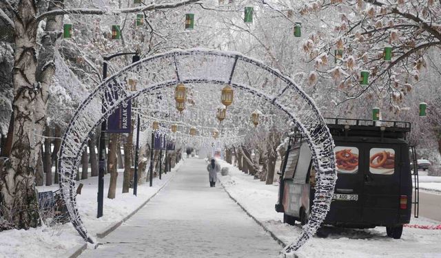 Erzurum Buz Kesti: Termometreler Sıfırın Altında 14 Dereceyi Gösterdi!