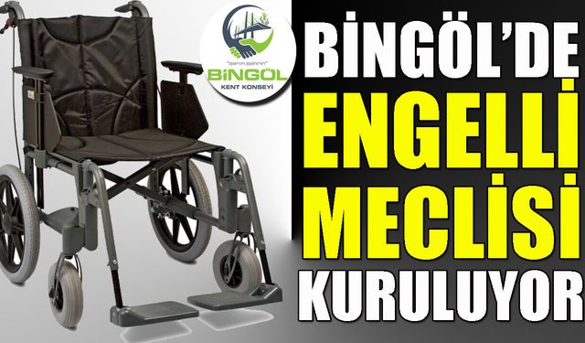 Bingöl’de Engelli Meclisi Kuruluyor
