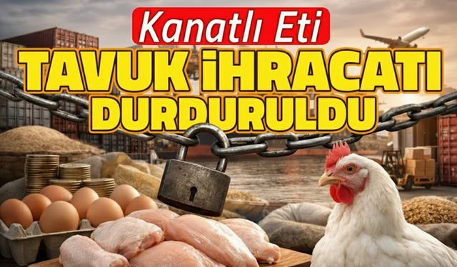 Kanatlı Eti İhracatı Durduruldu!