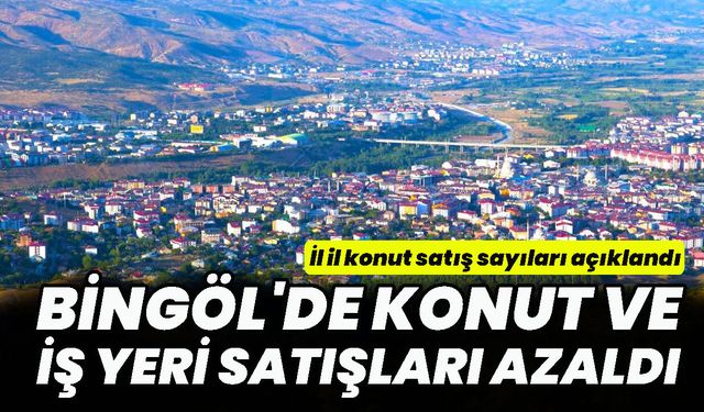İl İl Konut Satış Sayıları Açıklandı: Bingöl'de Konut ve İş Yeri Satışları Azaldı