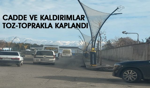 Bingöl'de Cadde ve Kaldırımların Temizlenmesi İsteniyor