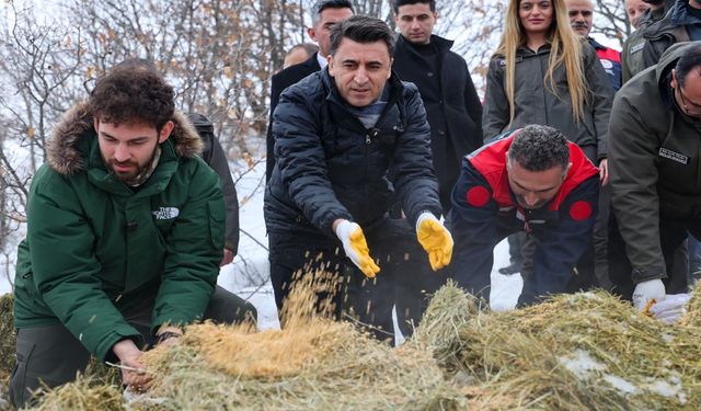 Tunceli'de Yaban Hayvanları için Seferber Oldular
