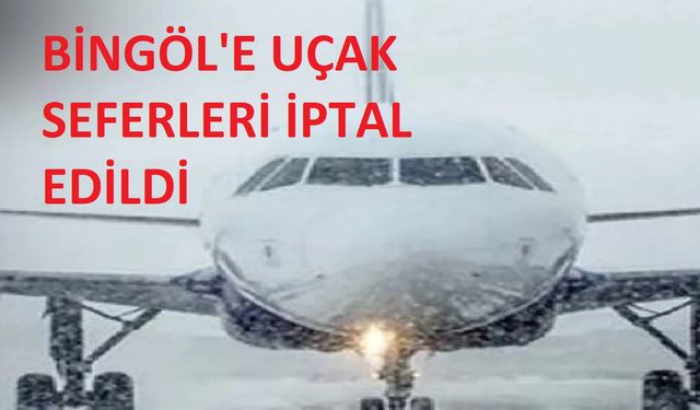 Kuvvetli Yağış Bingöl’de Hava Ulaşımını Aksattı