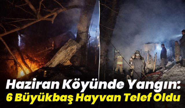 Bingöl'de Yangın: 6 Büyükbaş Hayvan Telef Oldu