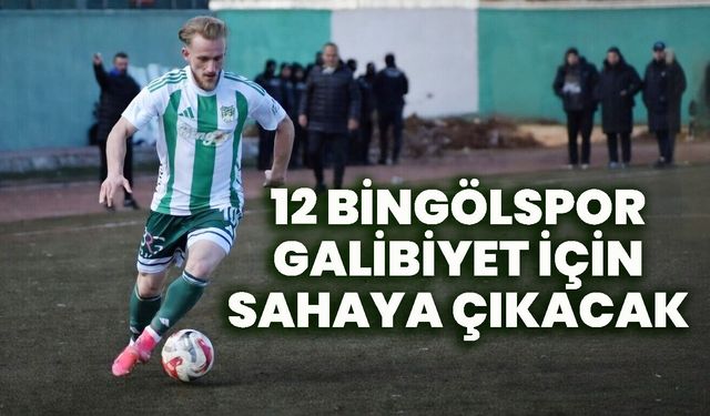 12 Bingölspor Galibiyet İçin Sahaya Çıkacak