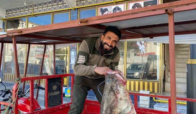 Dev Balık Tezgâhta Satışa Sunuldu