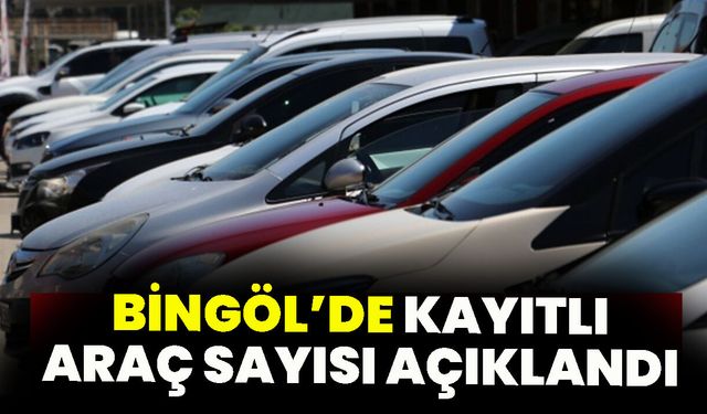 Bingöl’de Kayıtlı Araç Sayısı 26 Bine Yaklaştı