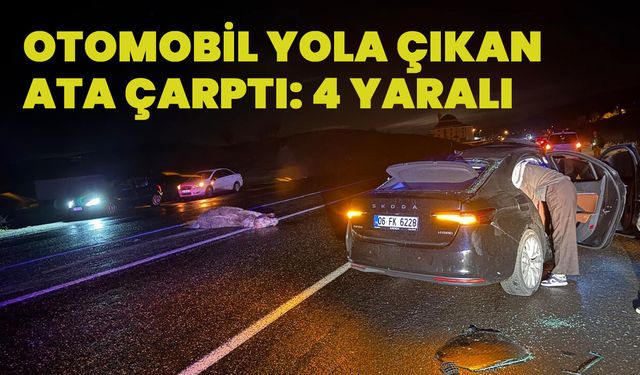 Bingöl’de Otomobil Yola Aniden Çıkan Ata Çarptı: 4 Yaralı