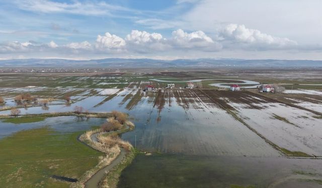 Muş Ovası’nda kar erimesi ve sağanak tarım arazilerini sular altında bıraktı