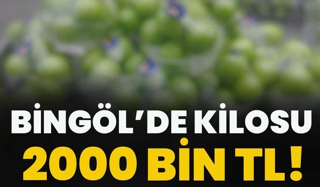 Bingöl’de Kilosu 2000 Bin TL!