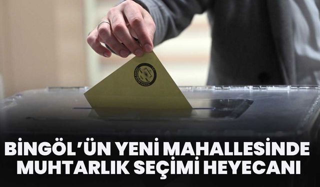 Bingöl’ün Yeni Mahallesinde Muhtarlık Seçimi Heyecanı