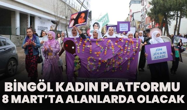 Bingöl Kadın Platformu 8 Mart’ta Alanlarda Olacak