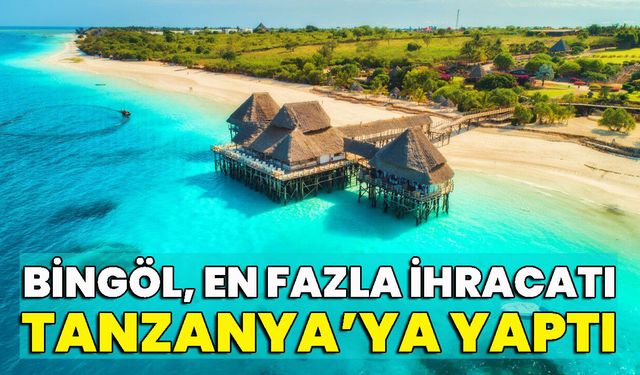 Bingöl, En Fazla İhracatı Tanzanya’ya Yaptı
