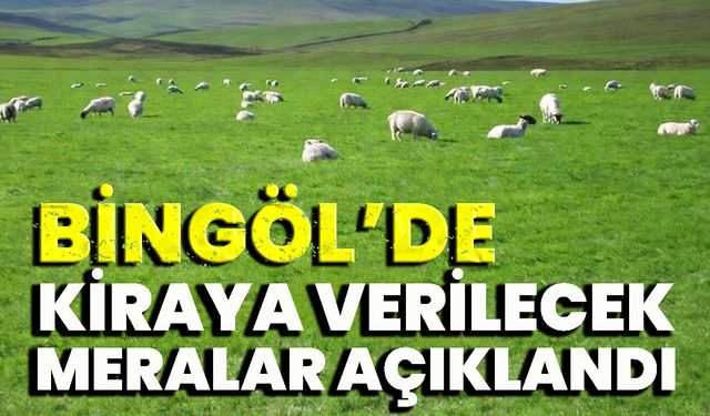 Bingöl’de Kiraya Verilecek Meraların Listesi Açıklandı