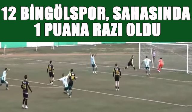 12 Bingölspor, Sahasında 1 Puana Razı Oldu
