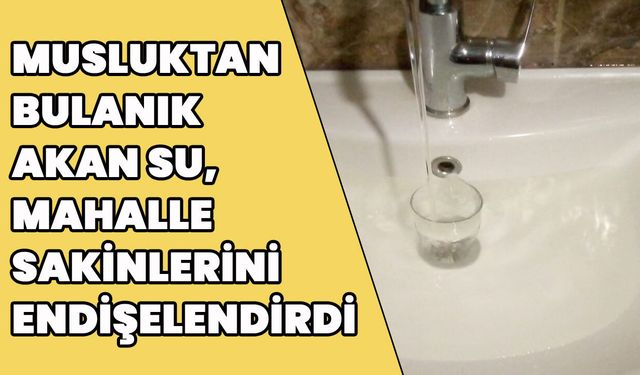 Bingöl’de Mahallelinin ‘Su’ Tepkisi!