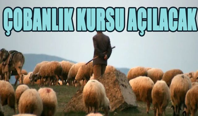 Bingöl’de Çobanlık Kursu Açılacak!
