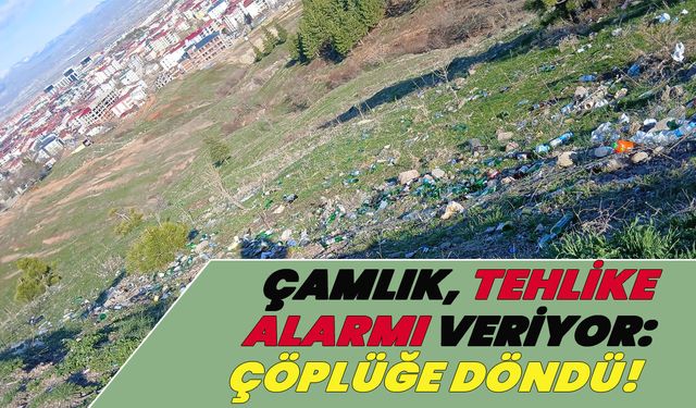 ‘Bingöl’ün Ciğerleri’ Çöplüğe Döndü!