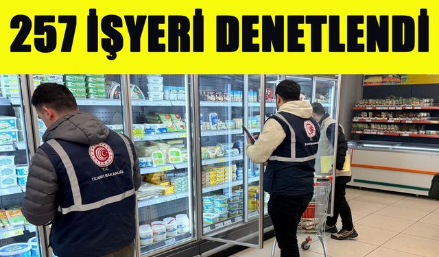 Bingöl'de 257 İşyeri Denetlendi