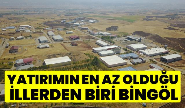 Bingöl İçin Üzücü Tablo: Yatırımın En Az Olduğu İllerden Biri Bingöl