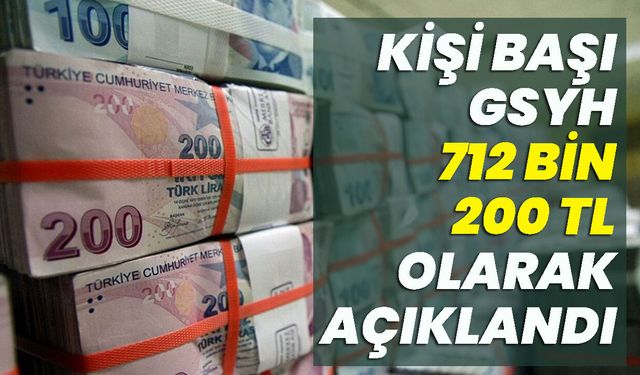 Kişi Başı Gayrisafi Yurt İçi Hasıla 712 Bin 200 TL Olarak Açıklandı