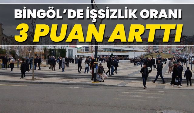 Bingöl’de İşsizlik Oranı 3 Puan Arttı