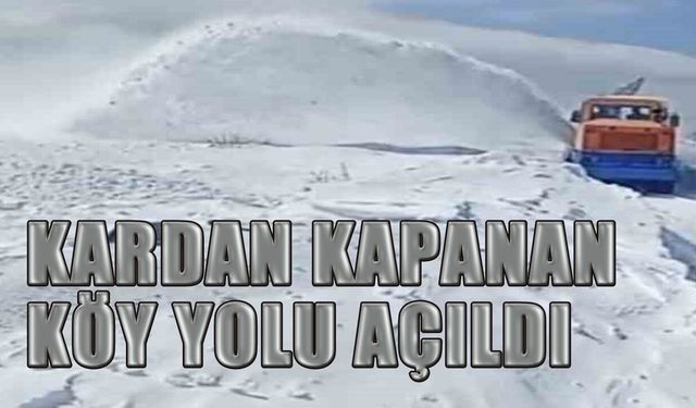 Bingöl'de Köy Yollarında Karla Mücadele Sürüyor