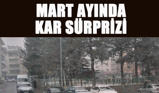 Bingöl'de Mart Ayında Kar Sürprizi