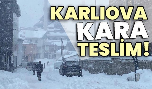 Karlıova kara teslim!