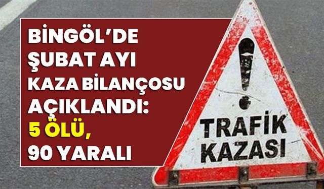 Bingöl’de Şubat Ayı Kaza Bilançosu Açıklandı: 5 Ölü, 90 Yaralı