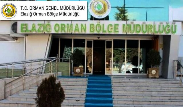 YOL İŞLERİ YAPTIRILACAKTIR (BİNGÖL)