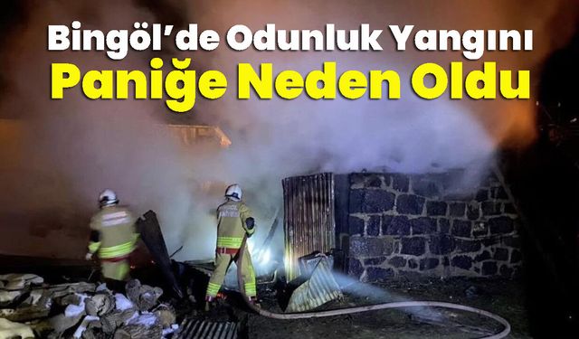 Bingöl’de Odunluk Yangını Paniğe Neden Oldu