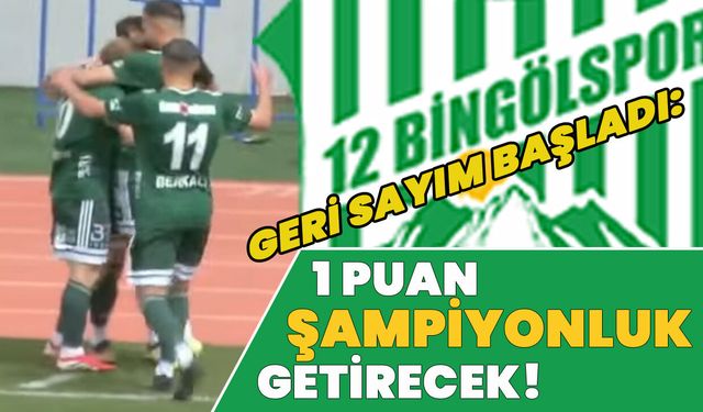 12 Bingölspor, Şampiyonluğa Adım Adım: 1 Puanla Garantileyecek!