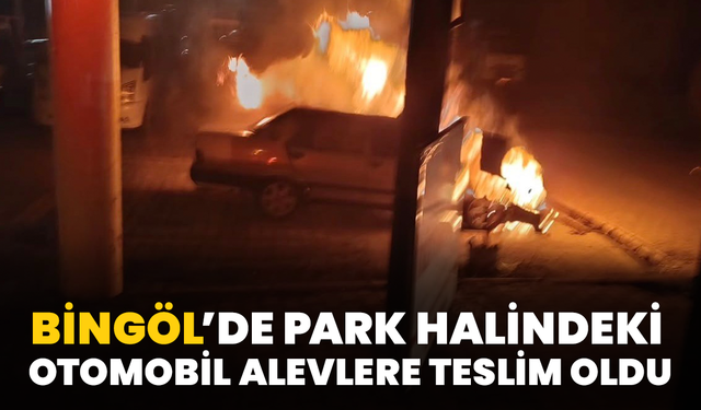 Bingöl’de Park Halindeki Otomobil Alevlere Teslim Oldu