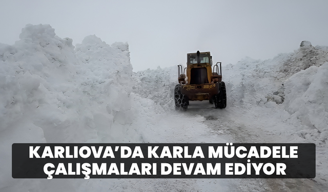 Karlıova’da Karla Mücadele Çalışmaları Devam Ediyor