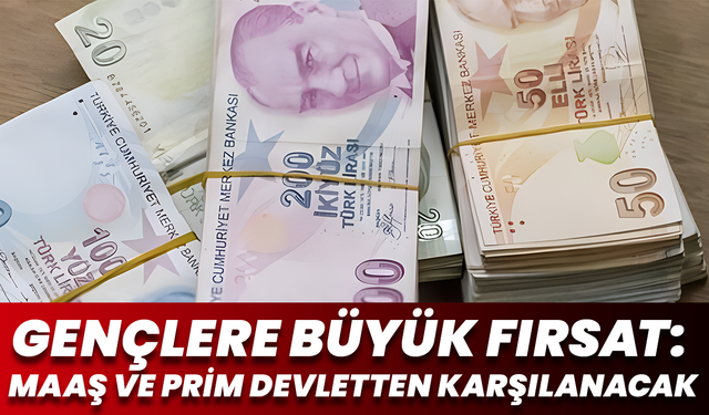 Gençlere Büyük Destek: Devletten Aylık 28 Bin Tl Maaş Fırsatı