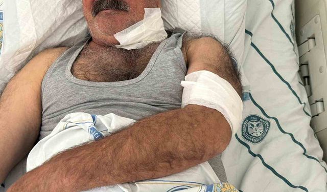 At Sahibini Boğazından Isırarak Yaraladı!
