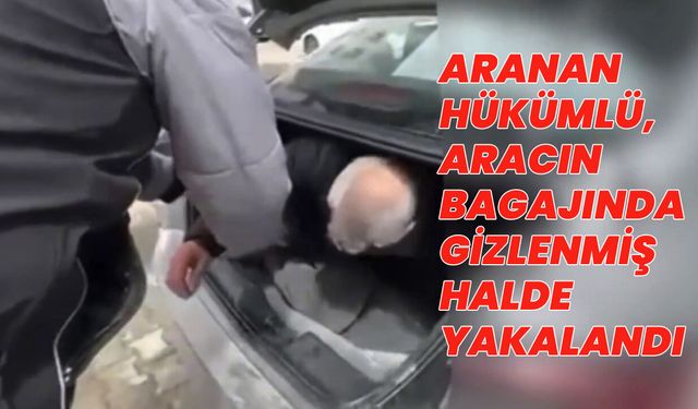 Bingöl'de 10 Yıl Hapis Cezası Bulunan Hükümlü, Otomobilin Bagajında Yakalandı