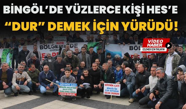 Bingöl’de Yüzlerce Kişi HES’e “Dur” Demek İçin Yürüdü!